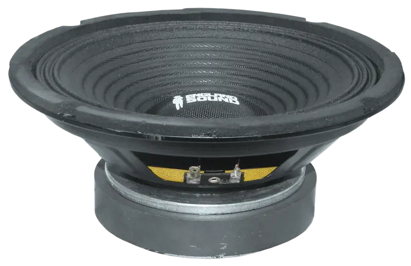 PARLANTE, 8 PULG., 300 WATTS, 4 OHM, 92DB - Imagen 1
