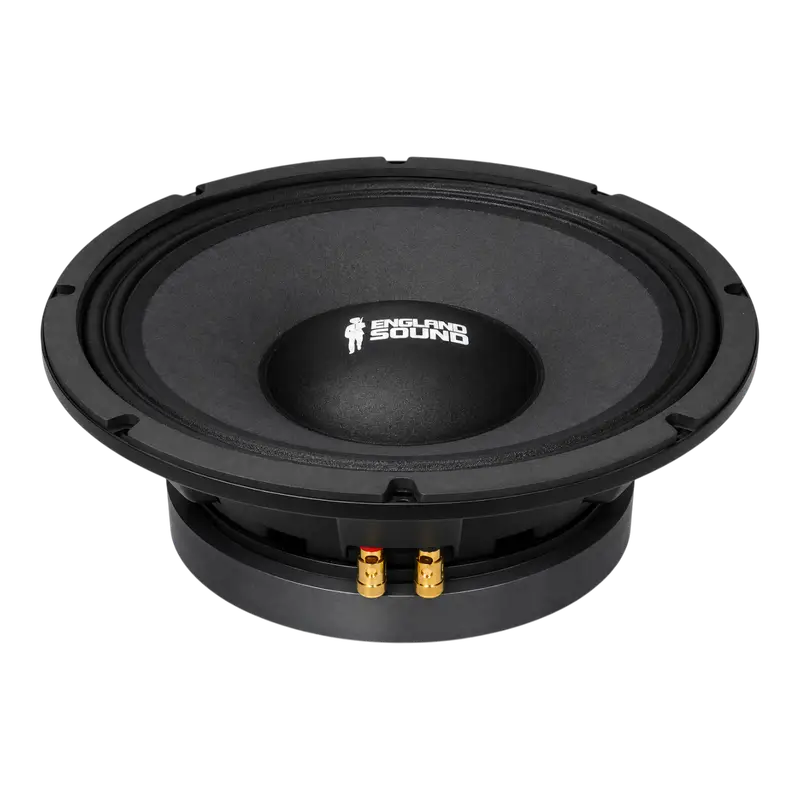 PARLANTE, 12 PULG., 1000 WATTS, 8 OHM, 100DB - Imagen 1