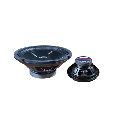 PARLANTE, 8 PULG., 100 WATTS, 8 OHM, 88DB