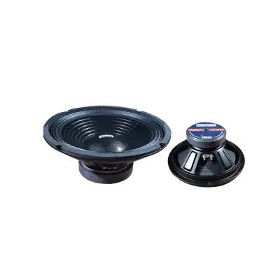 PARLANTE, 10 PULG., 300 WATTS, 8 OHM, 90DB