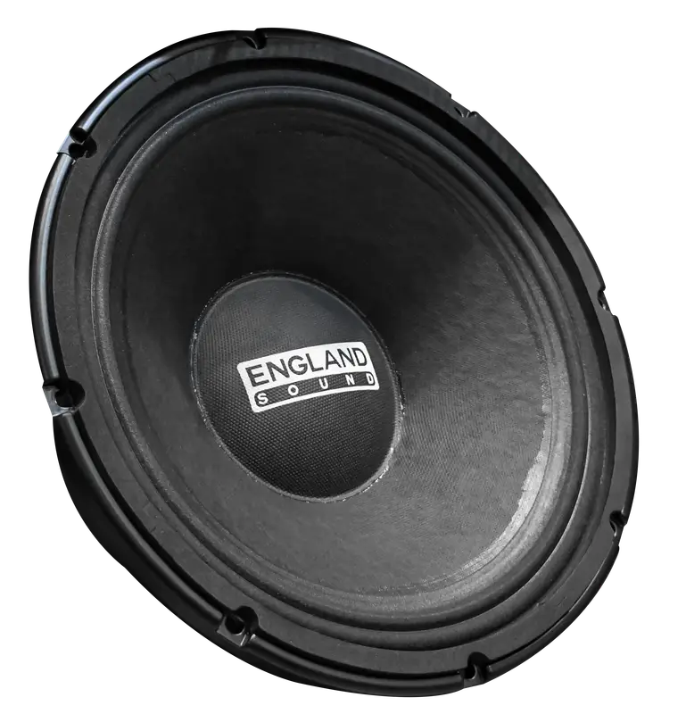PARLANTE, 12 PULG., 600 WATTS, 8 OHM, 98DB - Imagen 1