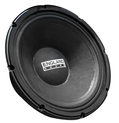PARLANTE, 12 PULG., 600 WATTS, 8 OHM, 98DB