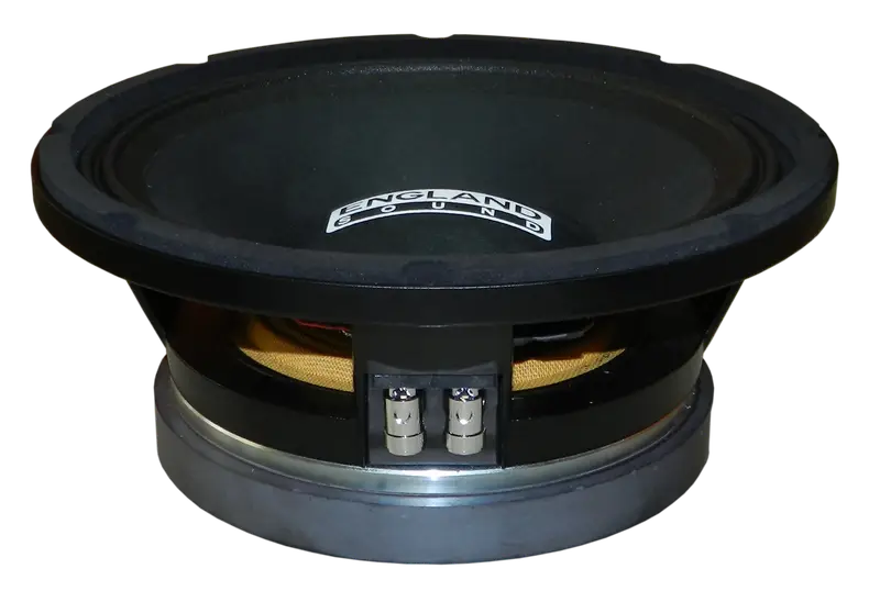 PARLANTE, 10 PULG., 500 WATTS, 8 OHM, 98DB - Imagen 1