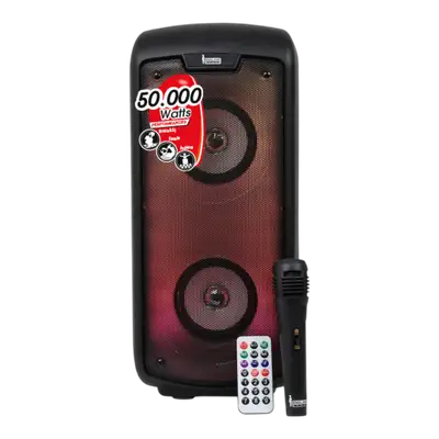 CAJA AMPL. CON BATERIA 2X4 PULG., 50.000W PMOP, REPRODUCTOR ANALOGICO DIGITAL, ENTRAJA JACK 1/4, 3.5MM, INCLUYE UN MICROFONO, 42×19×17.5CM