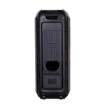 CAJA AMPL. CON BATERIA 2X10 PULG., 150.000 PMOP REPRODUCTOR ANALOGICO DIGITAL,ENTRAJA JACK 1/4, 3.5MM, BASS & TREBLE, LUZ LED RGB, INCLUYE UN MICROFONO - Miniatura 5