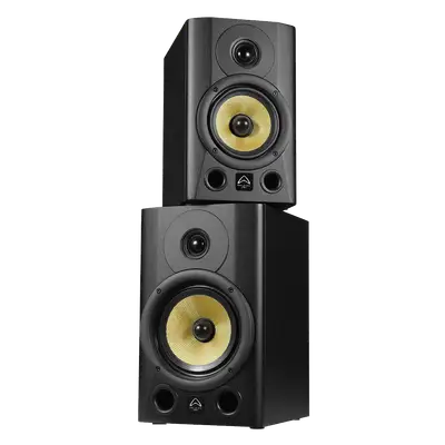 MONITOR BI-AMPLIFICADO DE ESTUDIO BT 6.5 PULG., 90W RMS LF/60W RMS HF, 113DB SPL