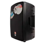 CAJA AMPLIFICADA 10 PULG., 200W RMS, 1 MIC 1/4 Y XLR, BASS & TREBLE, ENTRADA DE LINEA 3.5, XLR, RCA, SALIDA XLRS - Miniatura 3