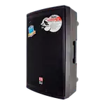 CAJA AMPLIFICADA 15 PULG., 350W RMS, 1 MIC 1/4 Y XLR, BASS & TREBLE, ENTRADA  XLR, RCA, SALIDA XLRS Y SPEAKON INCLUYE MICROFONO - Miniatura 3