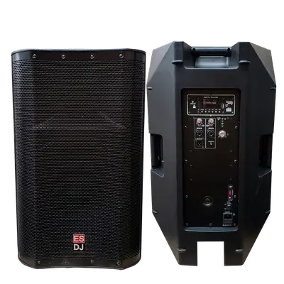 CAJA BI-AMPLIFICADA 15 PULG., 1600W RMS LF/200W RMS HF, BT, TWS, INCLUYE UN MICROFONO