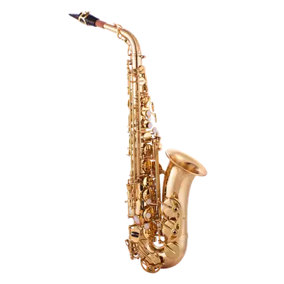 SAXOFON ALTO, ACABADO DORADO LAQUEADO, INCLUYE BOQUILLA CON ABRASADERA, CORREA Y ESTUCHE