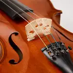 PUENTE PARA VIOLIN 3/4, DE MADERA - Miniatura 2