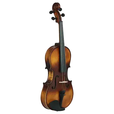 VIOLA 4/4 VINTAGE, TAPA DELANTERA Y TRASERA DE TILO, INCLUYE ESTUCHE, PERRUBIA Y ARCO
