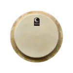 PARCHE DE CONGA 11 3/4" - Miniatura 2