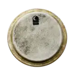 PARCHE DE CONGA 12 1/2" - Miniatura 2