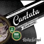SET DE CUERDAS PARA GUITARRA CLASICA, TENSION ALTA, CARBONO - Miniatura 2