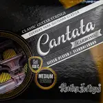 SET DE CUERDAS PARA GUITARRA CLASICA, TENSION MEDIA, CARBONO - Miniatura 1