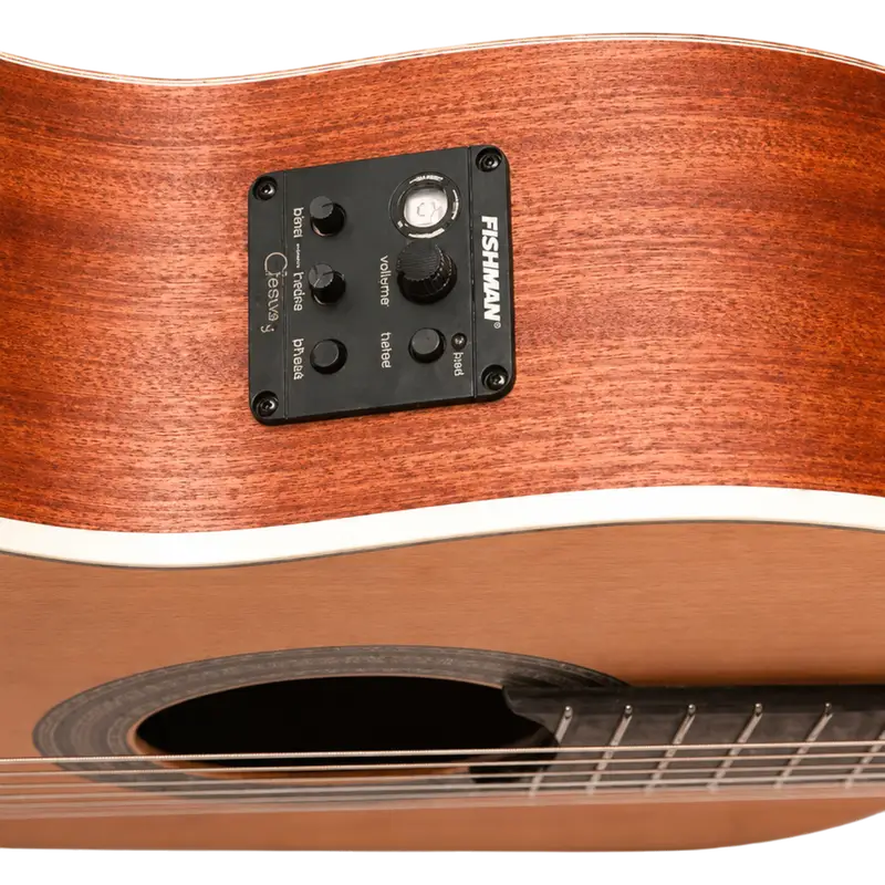 GUITARRA ELECTROCLASICA 39", CON EQ FISHMAN, COLOR NATURAL ACABADO MATE, TAPA DE CEDRO MACIZO, FONDO Y AROS DE WENGUE, CUERDAS D ADDARIO, INCLUYE BOLSO DE 10MM DE ESPESOR - Imagen 1