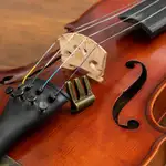APAGADOR DE SONIDO DE METAL PARA VIOLIN, COLOR VERDE OSCURO - Miniatura 3