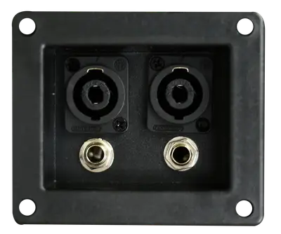 TERMINALES PARA CAJAS ACUSTICA 2 JACK 6.3MM Y 2 JACK SPEAKON, 10 X 8.5 CM