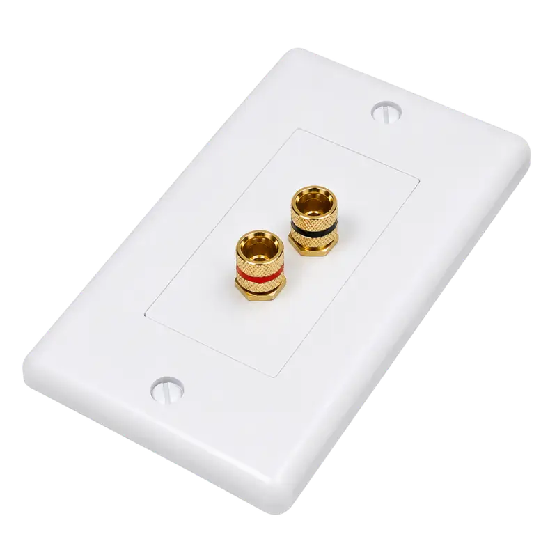 PLACA DE PARED CON 2 CONEXIONES COAXIALES - Imagen 1