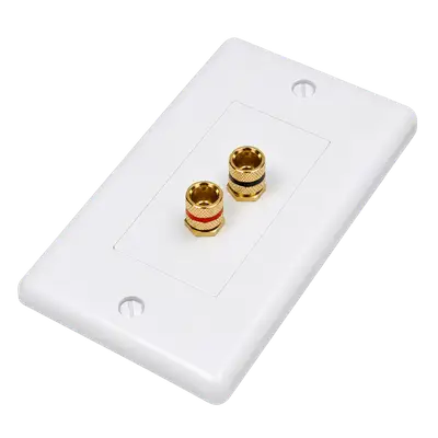 PLACA DE PARED CON 2 CONEXIONES COAXIALES