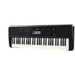 TECL 61 T, 650 TIMB, 260 EST DE ACOMP AUT, USB TO HOST, ENTRADA AUX., ADAP, COLOR NEGRO, POLIFONIA 48 - Miniatura 17